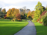 Free Stock Photo: A path in a park in autumn