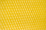 Free Stock Photo: Close-up of a honeycomb