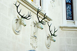 Free Stock Photo: Stone deer busts on a castle wall