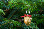 Free Stock Photo: A Christmas ornament in a tree