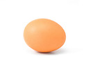 Free Stock Photo: A brown egg isolated on a white background