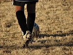 Free Stock Photo: Boy playing soccer