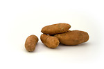 Free Stock Photo: Sweet potatoes isolated on a white background
