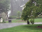 Free Stock Photo: A house and tree in the rain