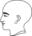 Free Stock Photo: Illustration of a bald person