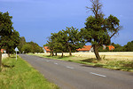 Free Stock Photo: A country road
