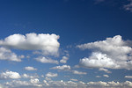 Free Stock Photo: A blue sky with white clouds