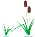 Free Stock Photo: Illustration of reeds in the water with cattails