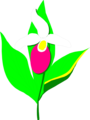 Free Stock Photo: Illustration of white lady