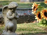 Free Stock Photo: Statue of an angel by some orange flowers