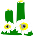 Free Stock Photo: Illustration of a cactus with white flowers