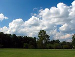 Free Stock Photo: A grass field landscape