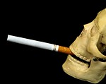Free Stock Photo: A skull with a cigarette isolated on a black background