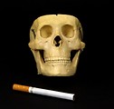 Free Stock Photo: A skull with a cigarette isolated on a black background