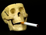 Free Stock Photo: A skull with a cigarette isolated on a black background