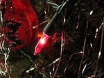 Free Stock Photo: Closeup of a red light on a Christmas tree