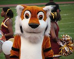 Free Stock Photo: A tiger mascot and cheerleaders at a high school football game.